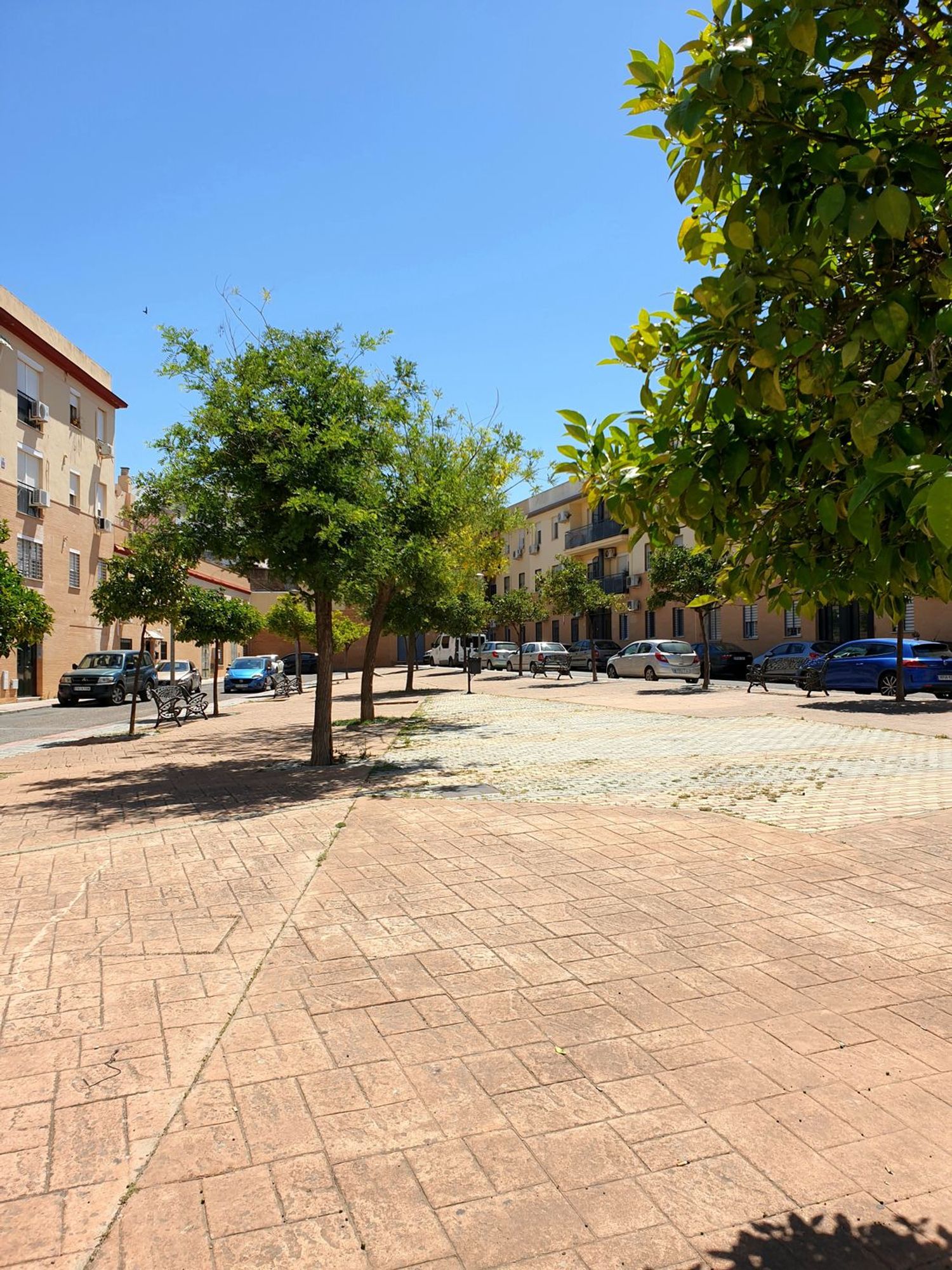 Piso en Plaza de las Cortes, 35, Nueva Alcalá, Nueva Alcalá - Foto 23