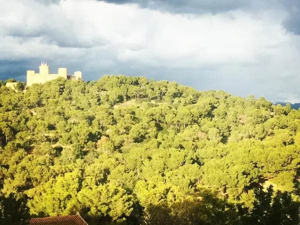 Piso en calle de Francesc Vidal I Sureda, 38 - Foto 27