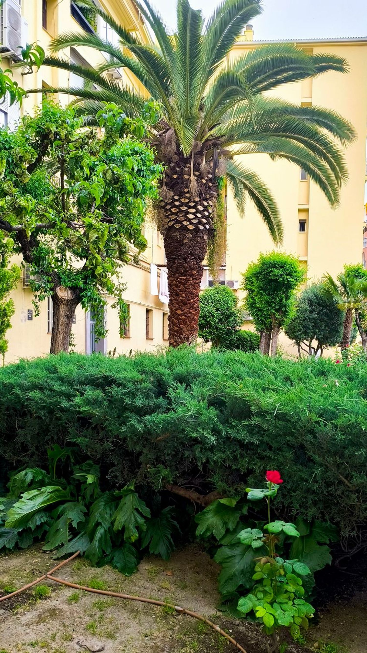 Piso - Foto 22