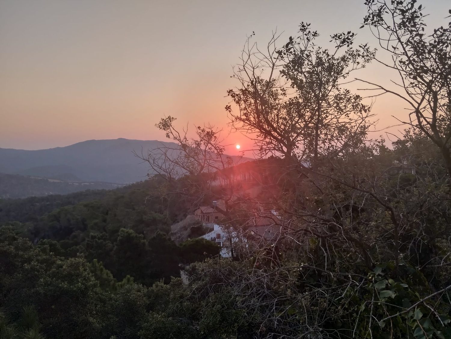 Chalet adosado en Avenida dels Arbres, 71, Serra Brava, Serra Brava - Foto 13