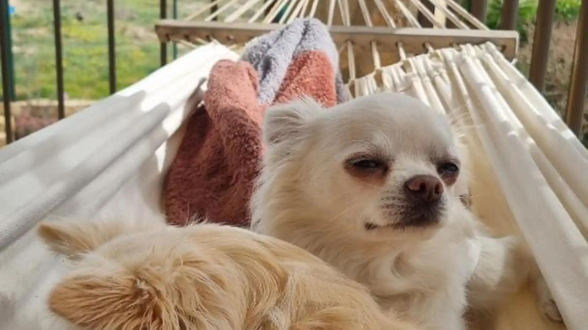 Chalet en  Entrada de Marina 258 - Foto 9