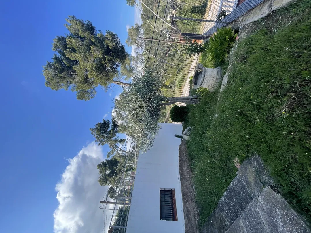 Chalet en  Carrer de Viella 69 - Foto 12