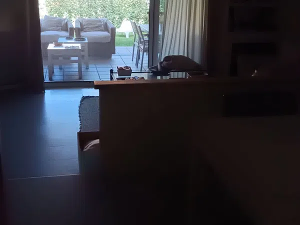 Casa o chalet independiente en Calle Emperador Nerva, 4, Novo Sancti Petri, Novo Sancti Petri - Foto 2