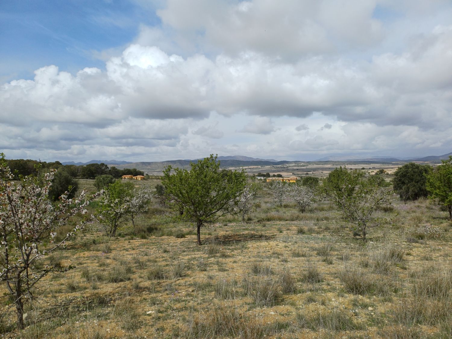 Casa independiente en Sierra de la Pila, 3 - Foto 17