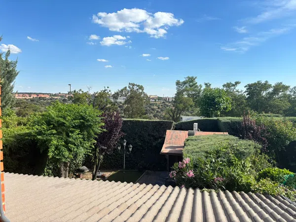 Chalet adosado en Avenida de Sóller, 11, El Pinar- Punta Galea - Foto 31