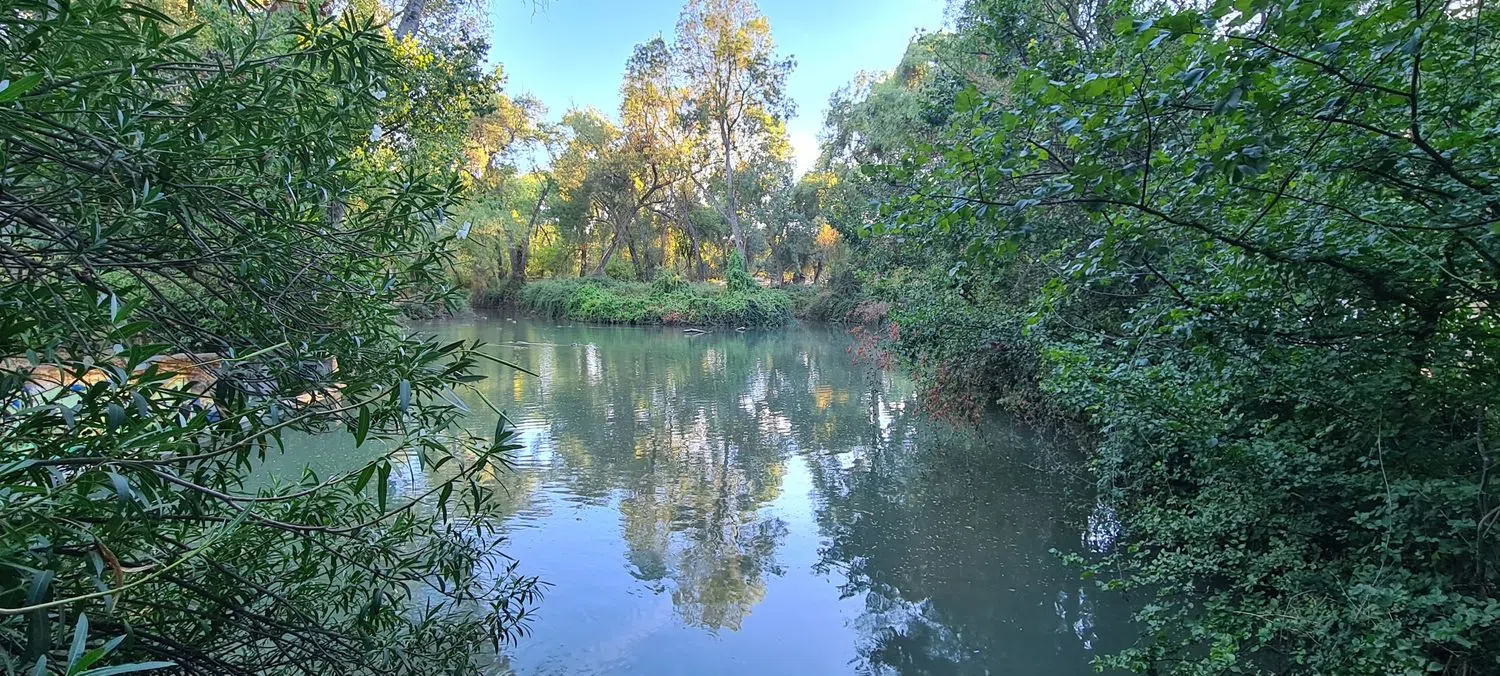 Estudio en Barrio Somosaguas - Foto 2