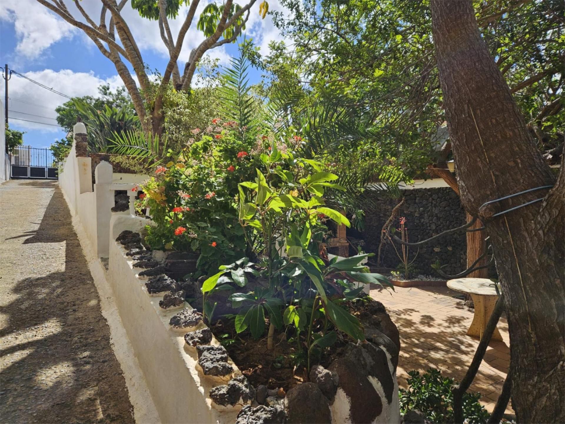 Planta baja en  Lugar Lomo el Diviso 21 - Foto 9