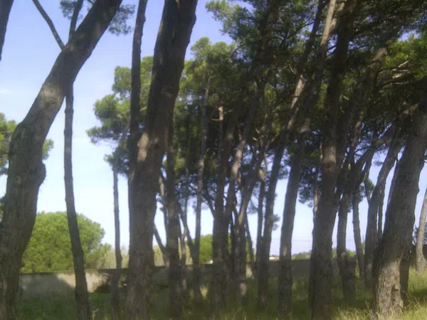 Casa independiente en calle Ceuta s/n - Foto 11