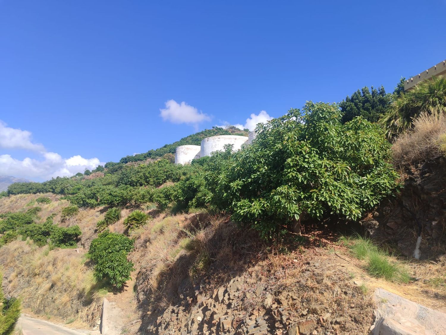 Cortijo en Cortijo en Camino de Río Seco, 36, El Rescate - Río Seco, El Rescate - Río Seco - Foto 27