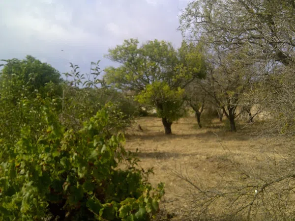 Casa independiente en camino de Melilla s/n - Foto 12