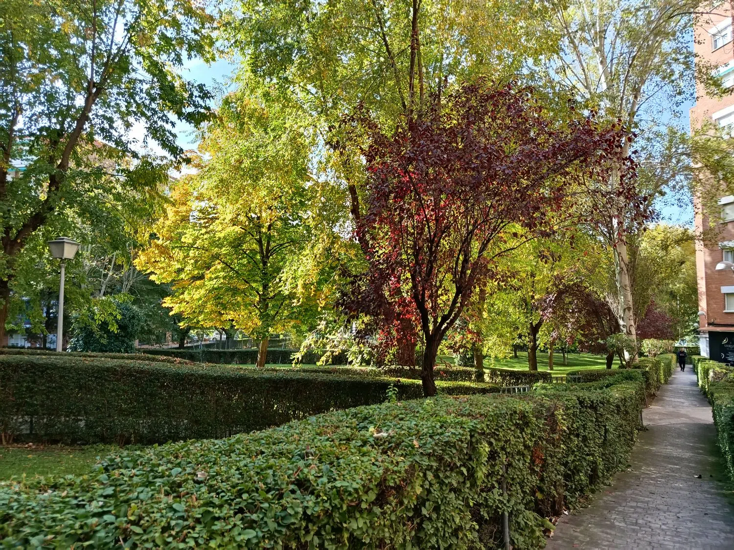 Estudio en calle Mérida, 3 - Foto 24