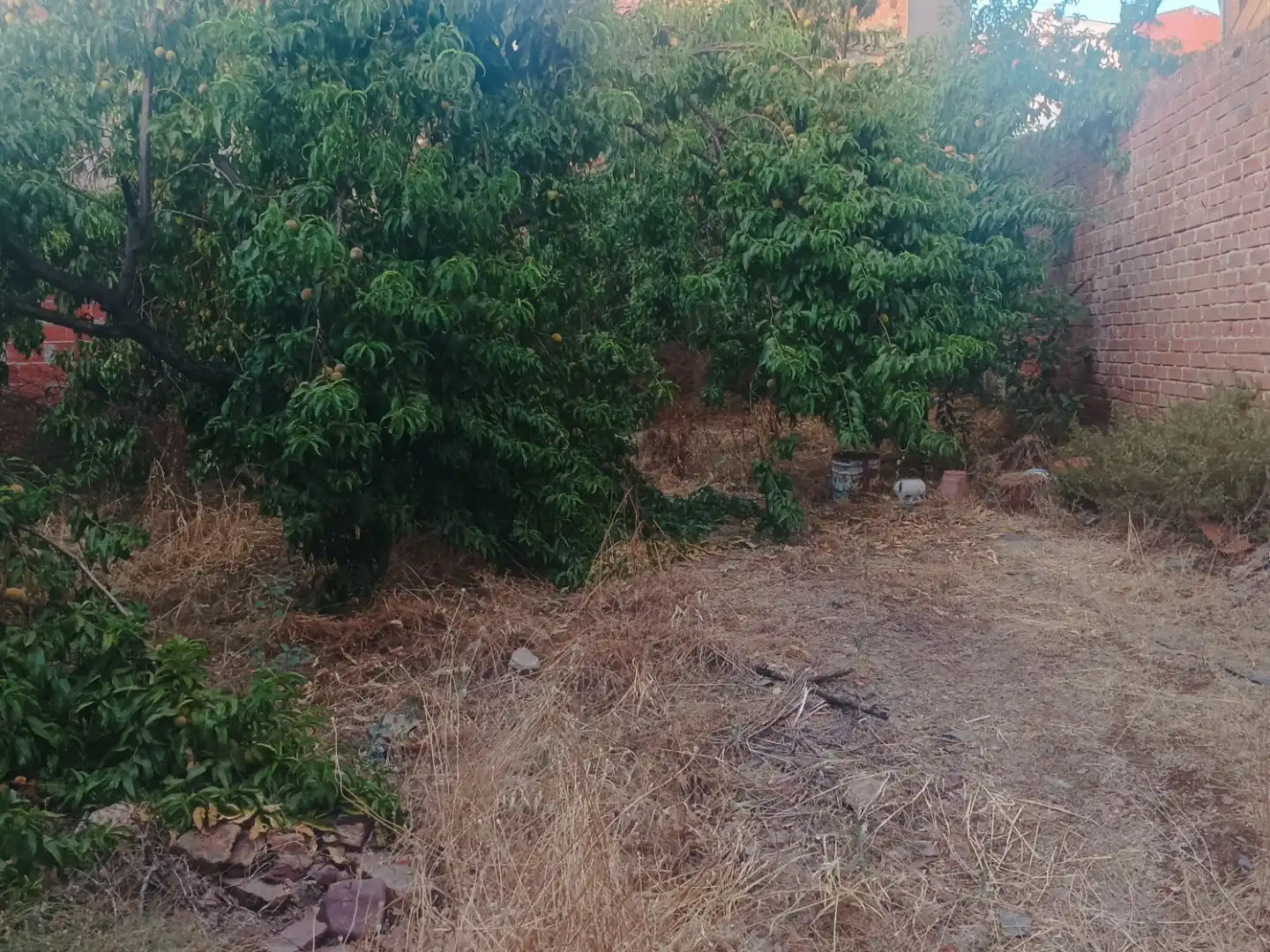 Planta baja en  Calle Peligro 15 - Foto 5