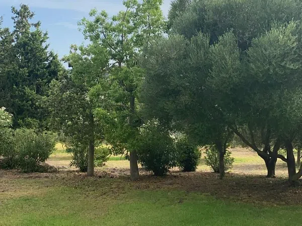 Casa rural en Poligono 2, 630 Parcela - Foto 32