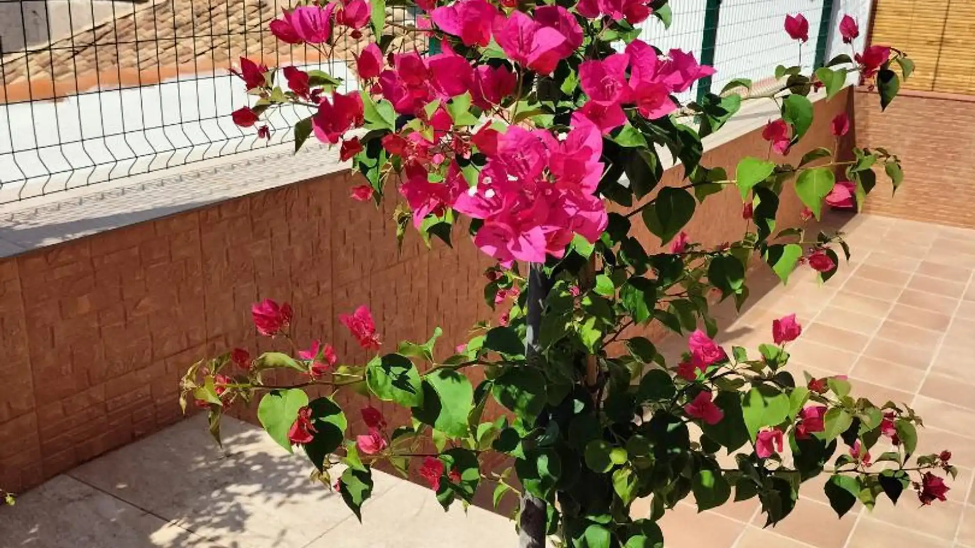 Chalet en  Calle Zenete 1 - Foto 33