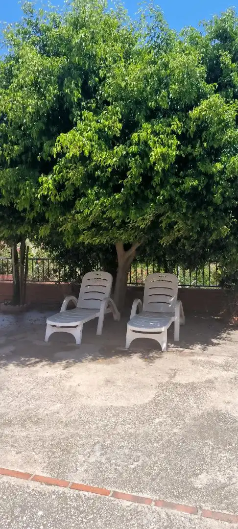 Finca rústica en  Diseminado Diseminados 554 - Foto 4