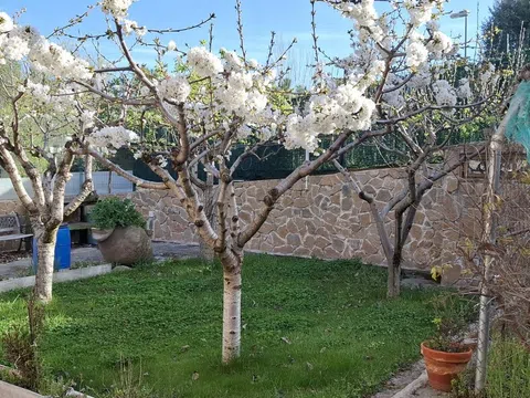 Casa independiente en calle Anacleto López, 1 - Foto 13