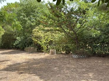 Finca rústica en  Camí de Sant Joan 1 - Foto 4