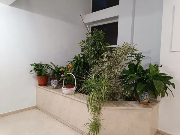 Piso en avenida Ciencias, 28