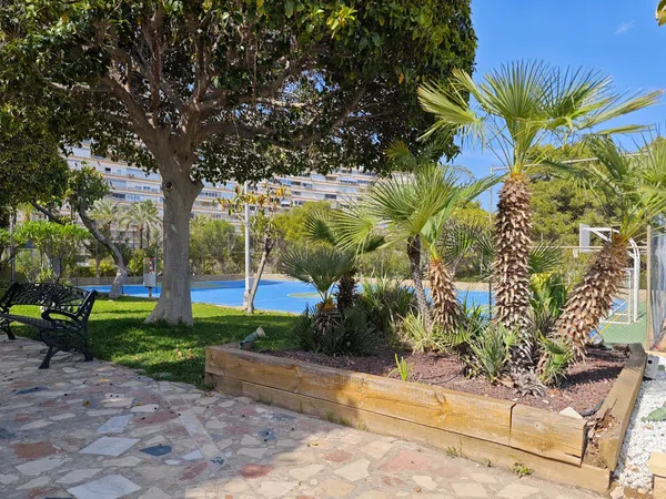 Piso en Avenida Benidorm, 18, Playa de San Juan - Foto 21