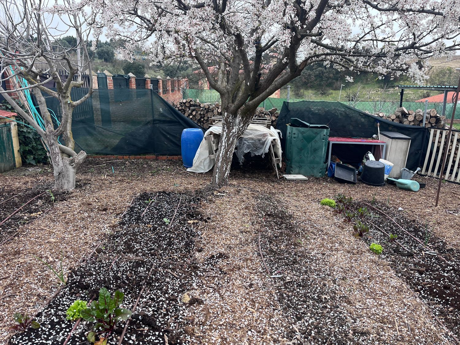 Finca rústica en Carril Toledano s/n, La Dehesa - El Pinar, La Dehesa - El Pinar - Foto 2