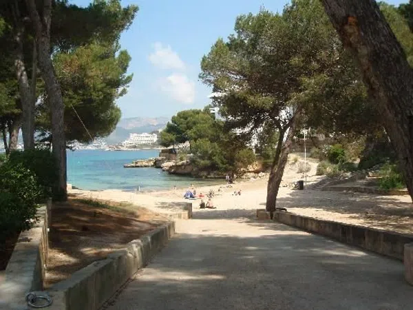 Piso en avenida del Rei Jaume I, 73 - Foto 1