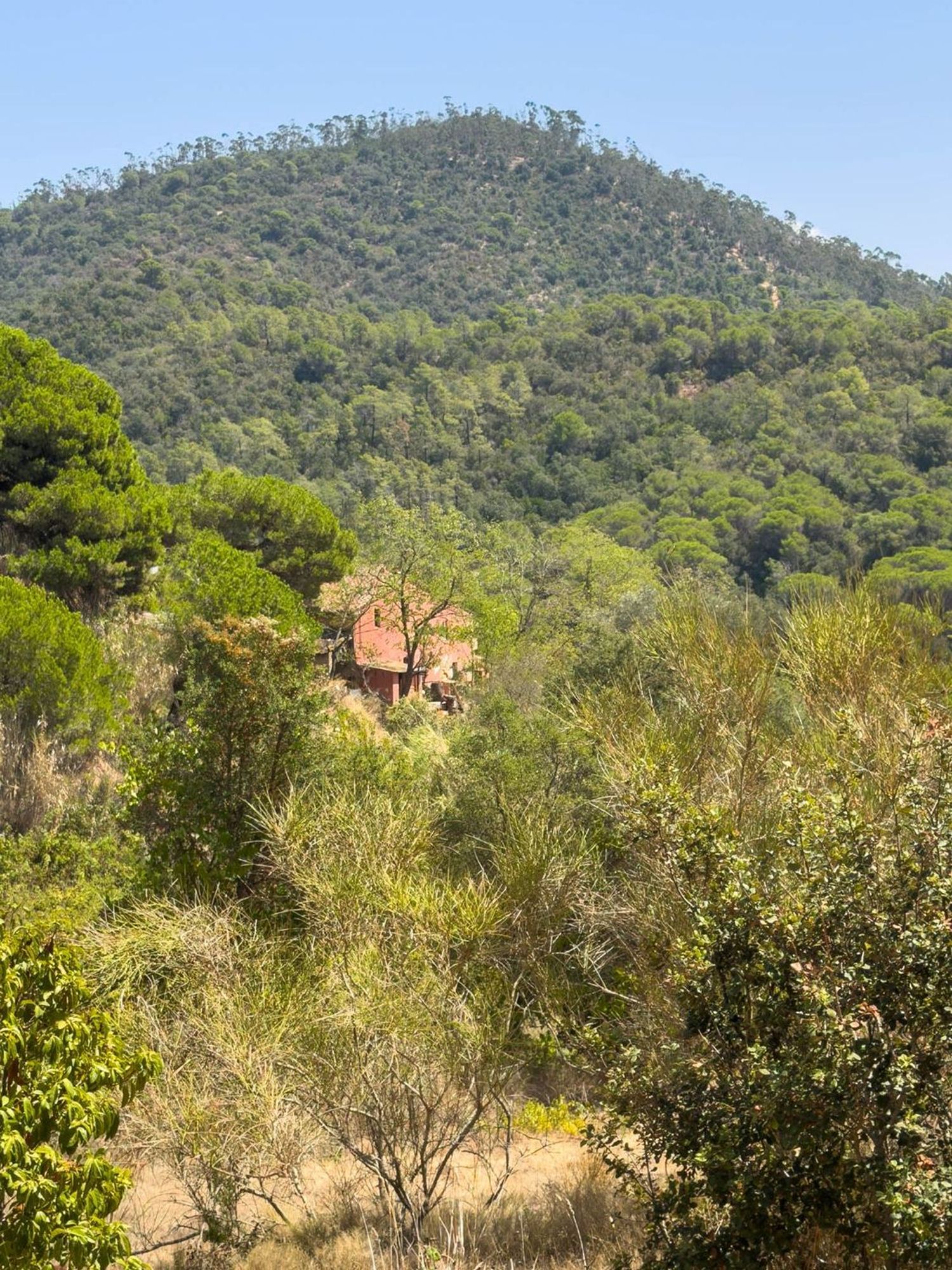 Masía en Masía en Diseminado Veinat de Sant Daniel, 104, Mas Mora - Sant Daniel, Mas Mora - Sant Daniel - Foto 11