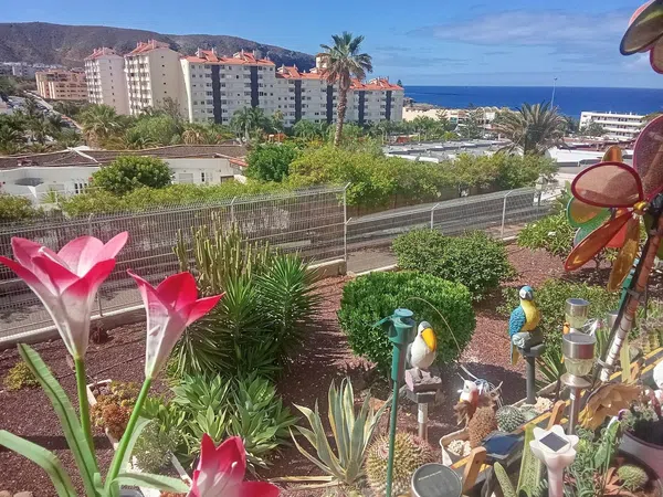 Piso en Calle Berna, 6, Los Cristianos, Los Cristianos - Foto 1