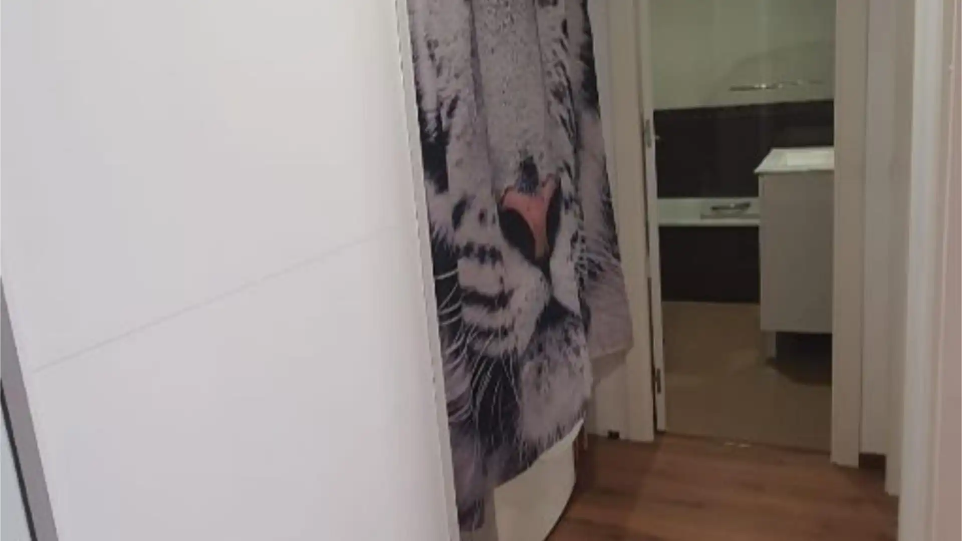 Casa adosada en  Avenida de Gran Bretaña 26 - Foto 17