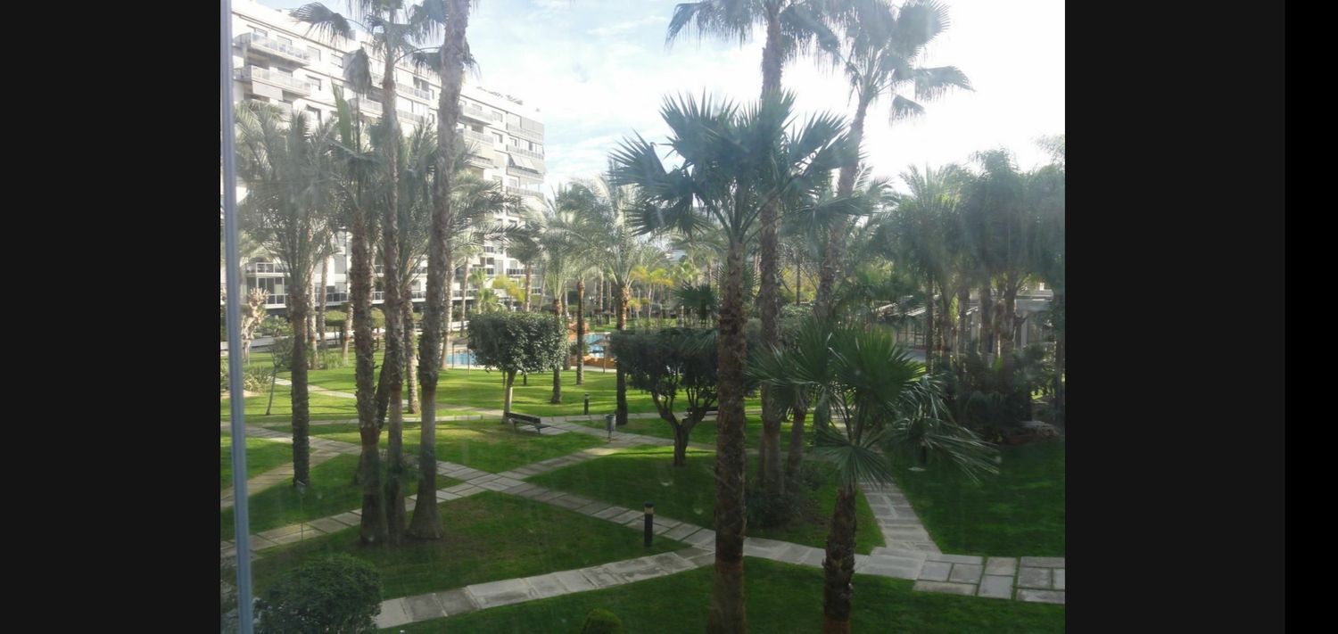 Piso en Historiador Vicente Ramos, 23 - Foto 1