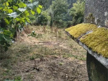 Chalet en Montillón de arriba - Foto 4