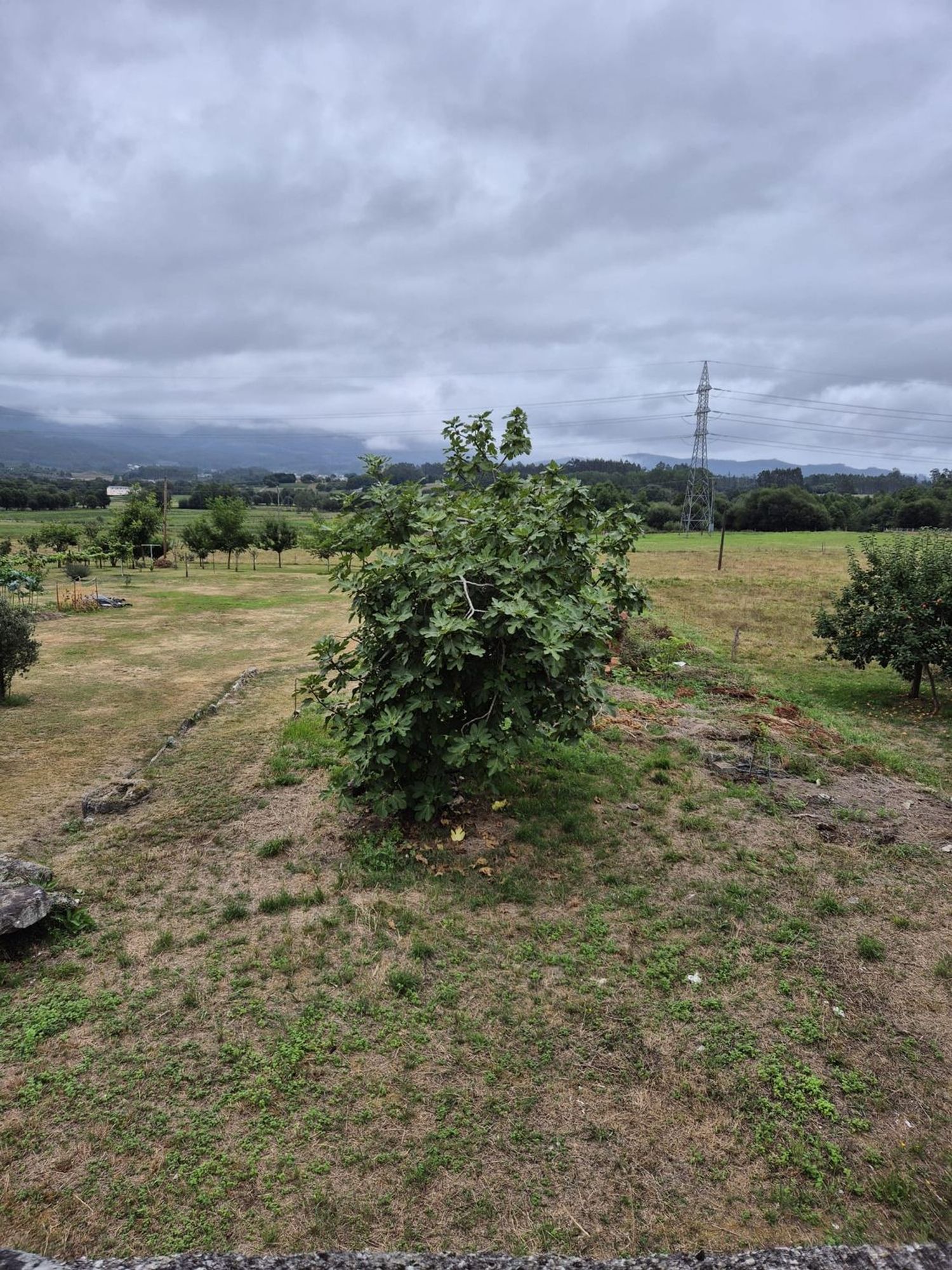 Casa rural en Lugar Pombal, 6 - Foto 19
