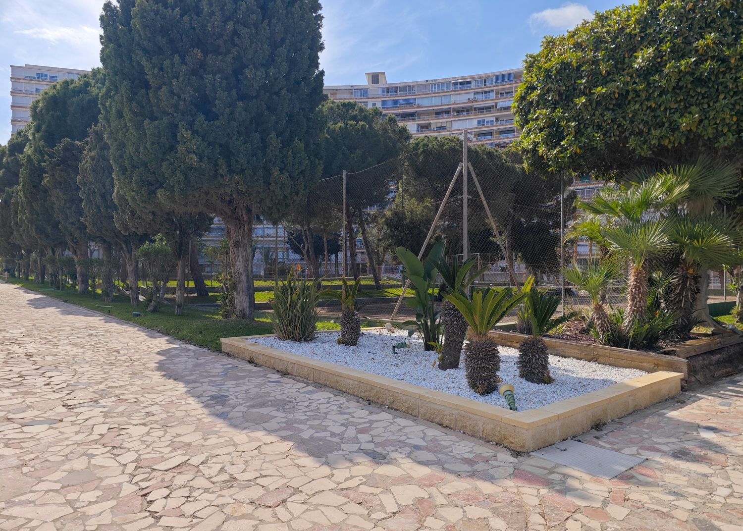 Piso en Avenida Benidorm, 18, Playa de San Juan - Foto 18