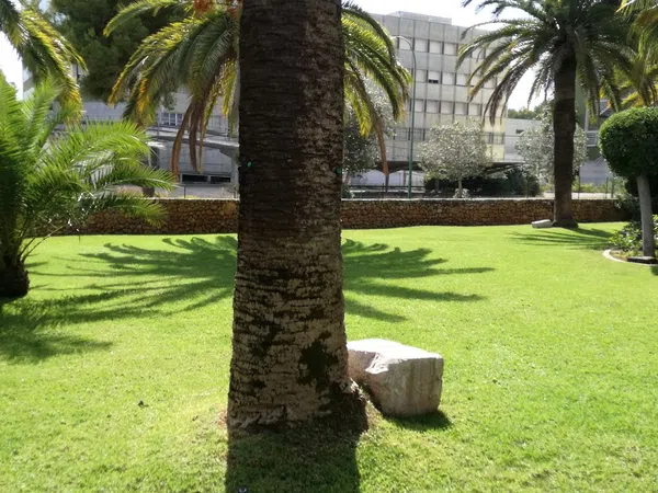 Piso en Venezuela, 2 a - Foto 6