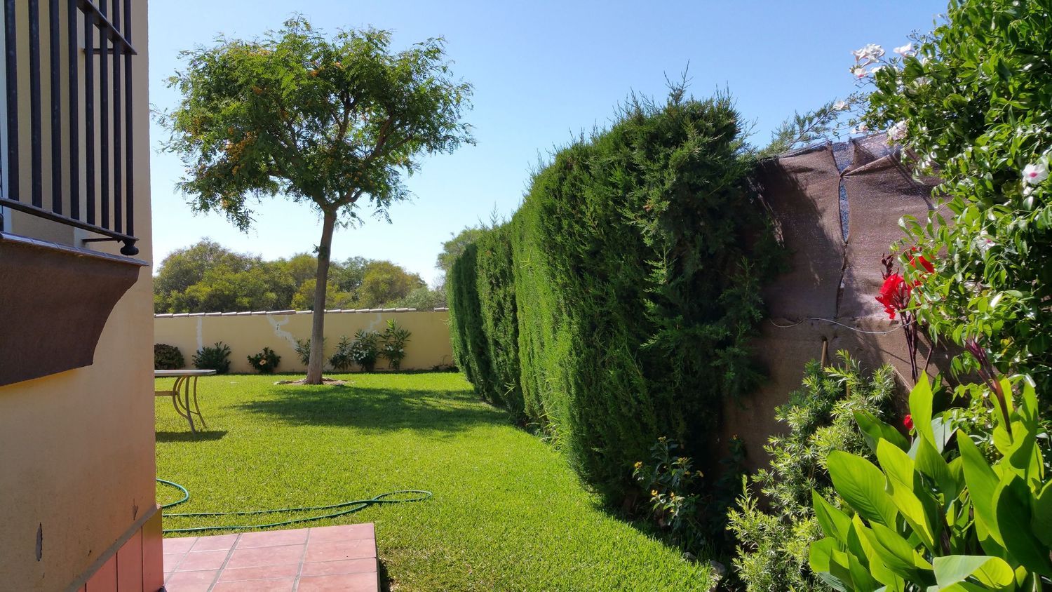 Casa independiente en calle Codorniz, 510 - Foto 5