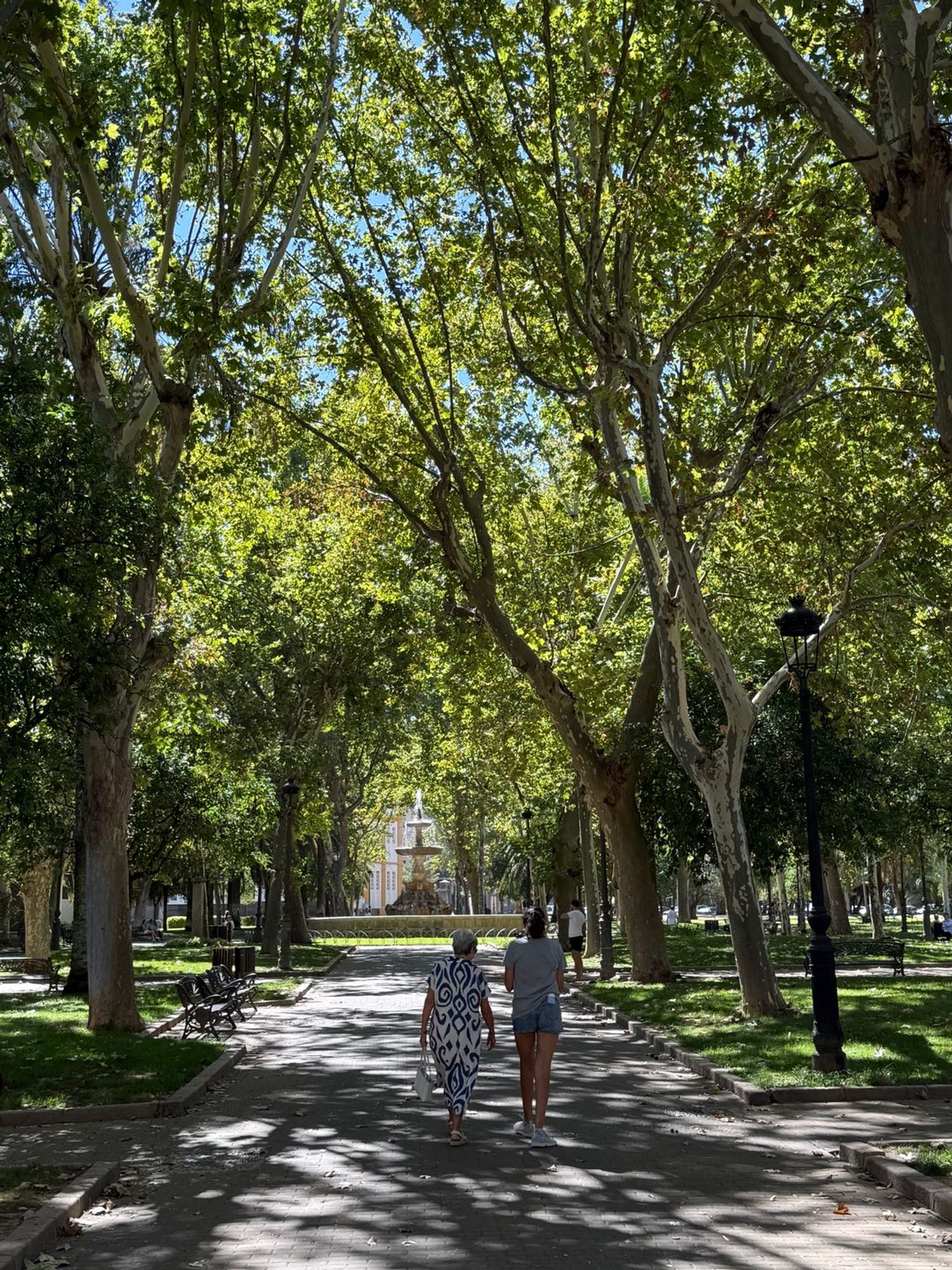 Piso en Plaza del Moreno, 1, San Cayetano - Foto 17
