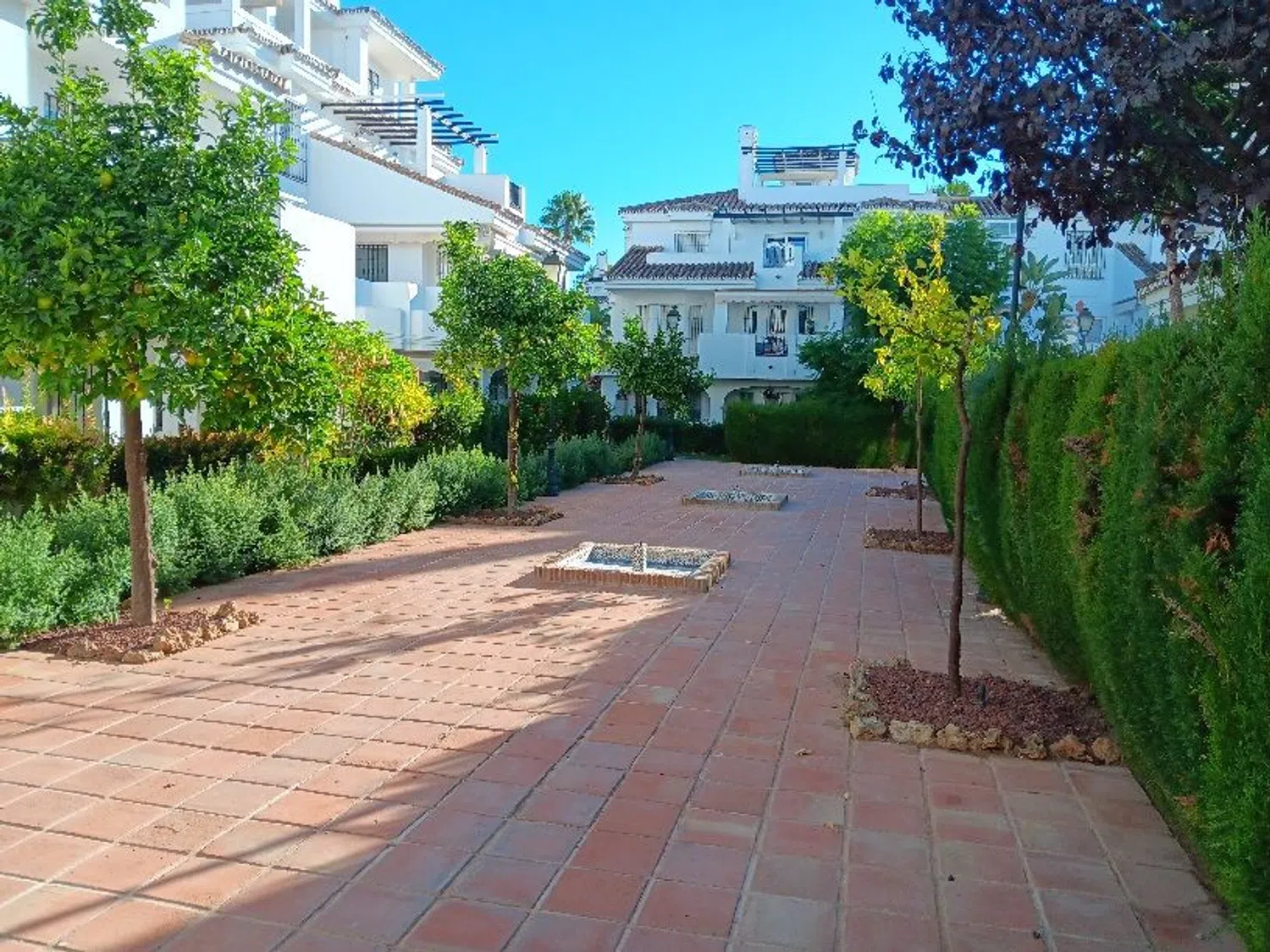 Piso en Urbanización Los Naranjos de Marbella, 6 - Foto 21