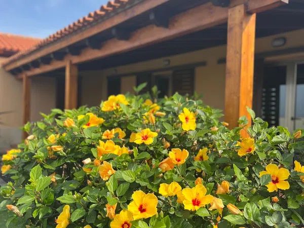 Casa independiente en pasaje Roque Nublo, 11 - Foto 5