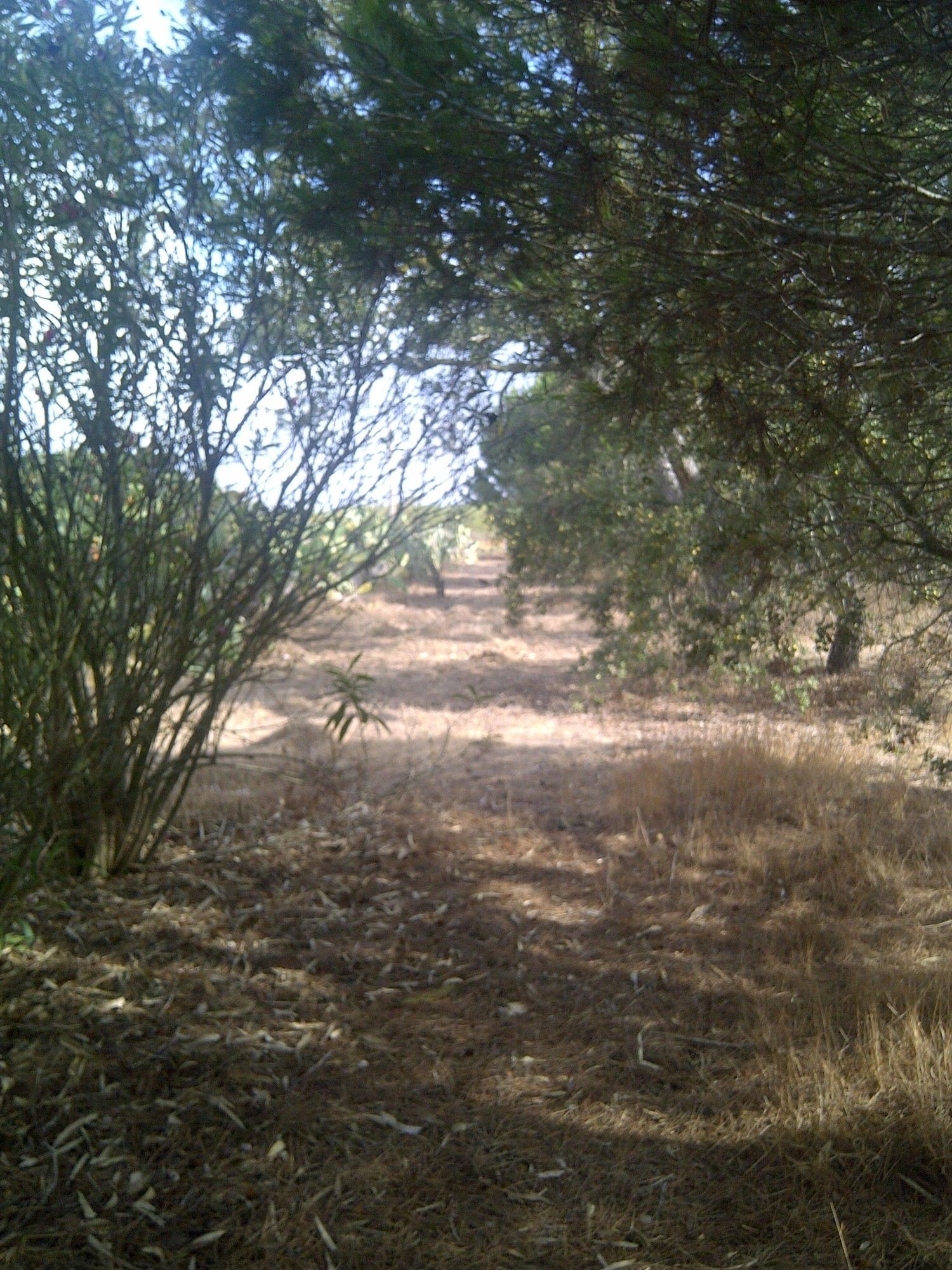 Casa independiente en camino de Melilla s/n - Foto 8