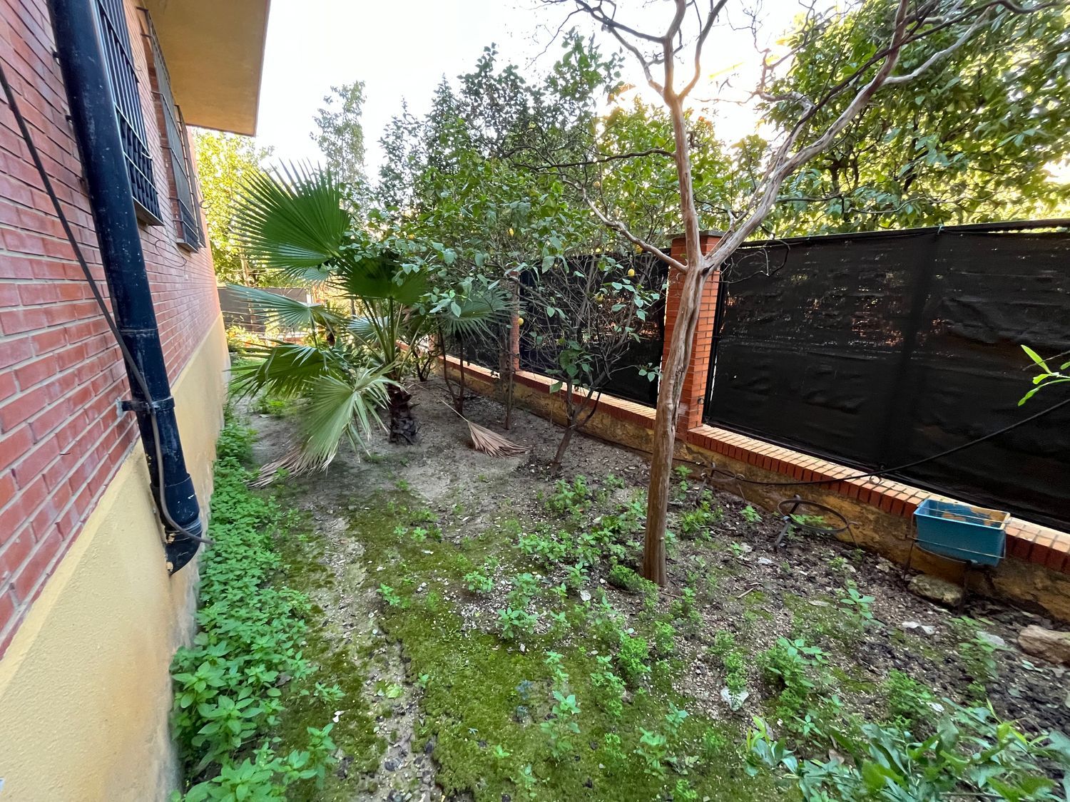 Piso en calle Castillo de Cortegana, 2 - Foto 4