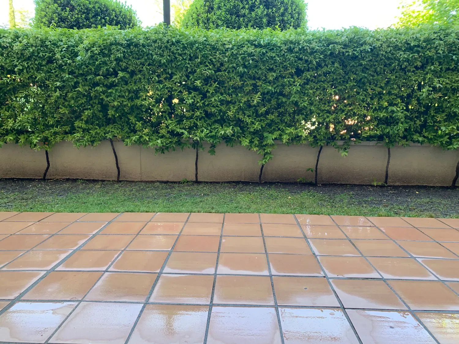 Piso en Barrio Somosaguas - Foto 2
