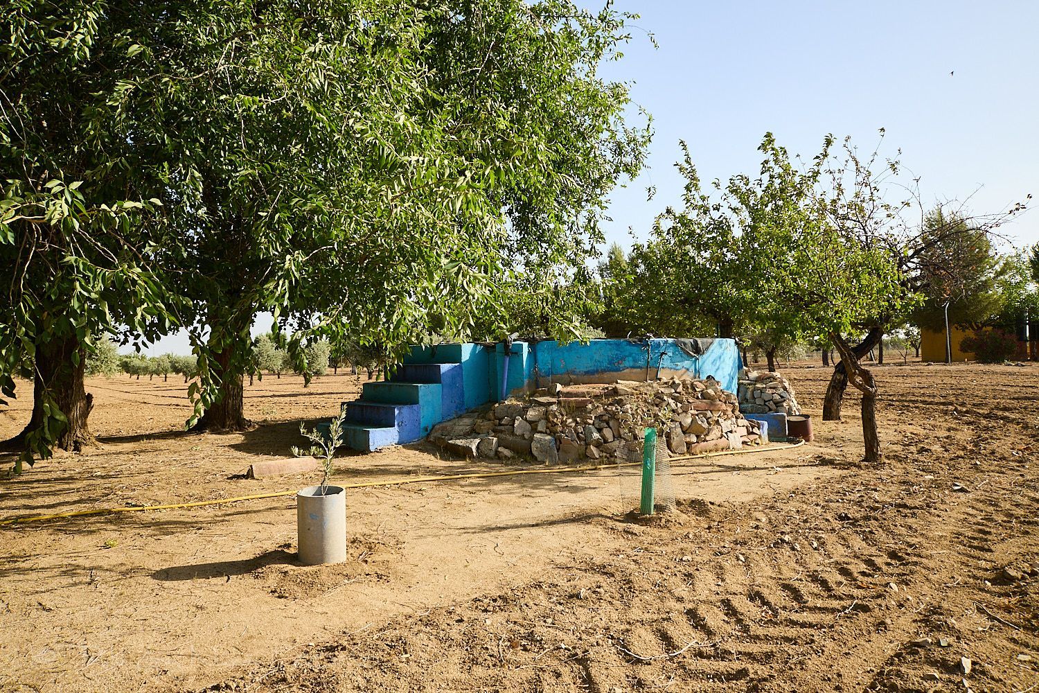 Finca rústica en Camino de la Mata s/n - Foto 3