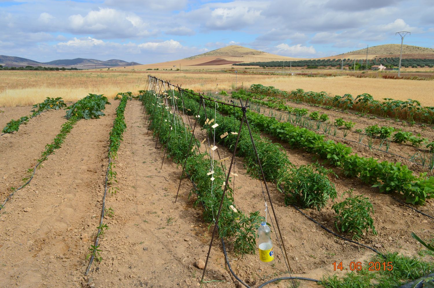 Masía en Masía en Camino de Viso del Marqués s/n - Foto 3