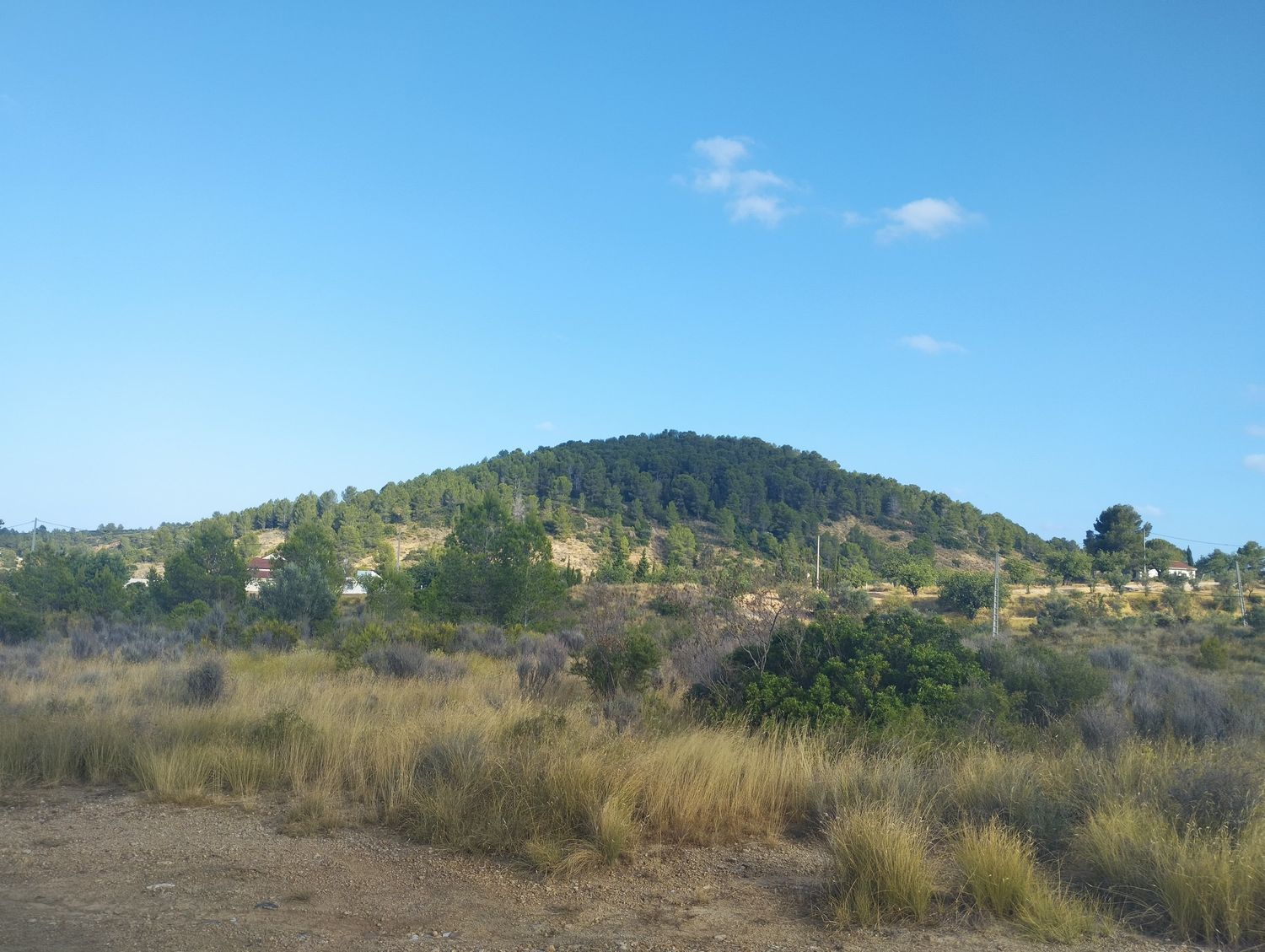 Finca rústica en Plaza Numero 3, 148, Las Pedrizas, Las Pedrizas - Foto 29