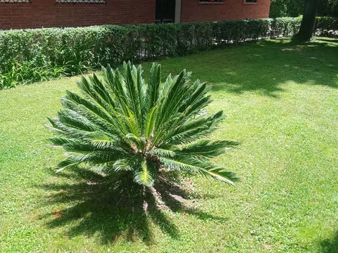 Piso en calle de Colombia, 48