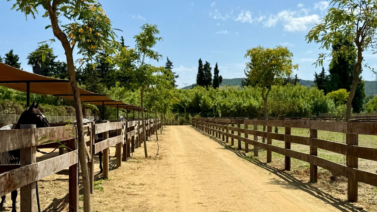 Cortijo en Cortijo en Ca-8200, 8200 Ca-8200 - Foto 10