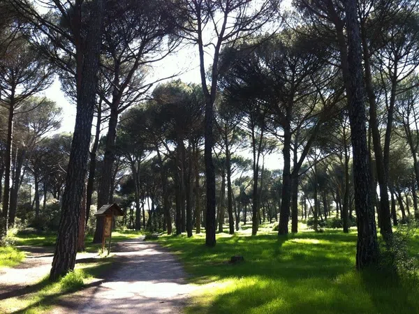 Piso en Calle Manuel de Falla, 21, Golf - El Carralero - Foto 32
