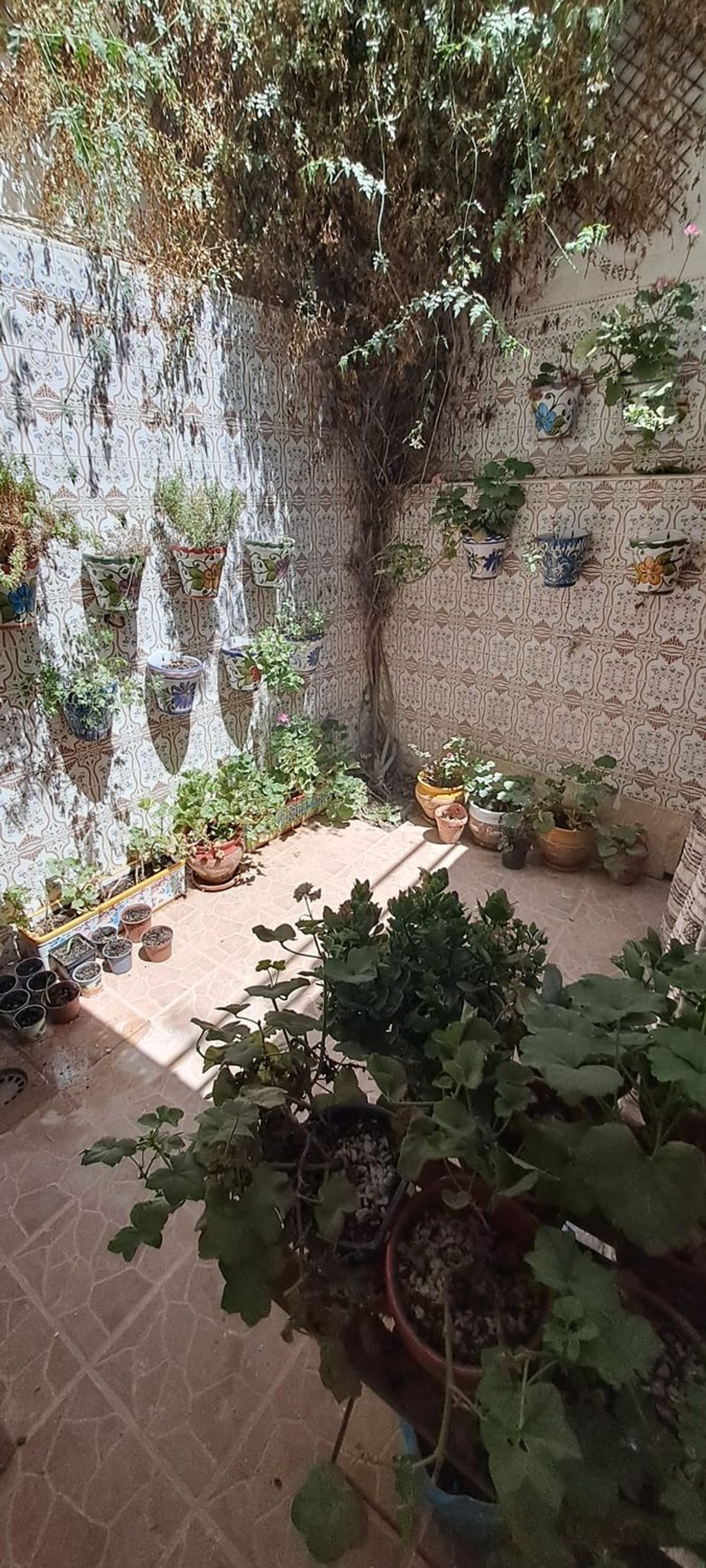 Casa de pueblo en Calle Parrales, 20 - Foto 12