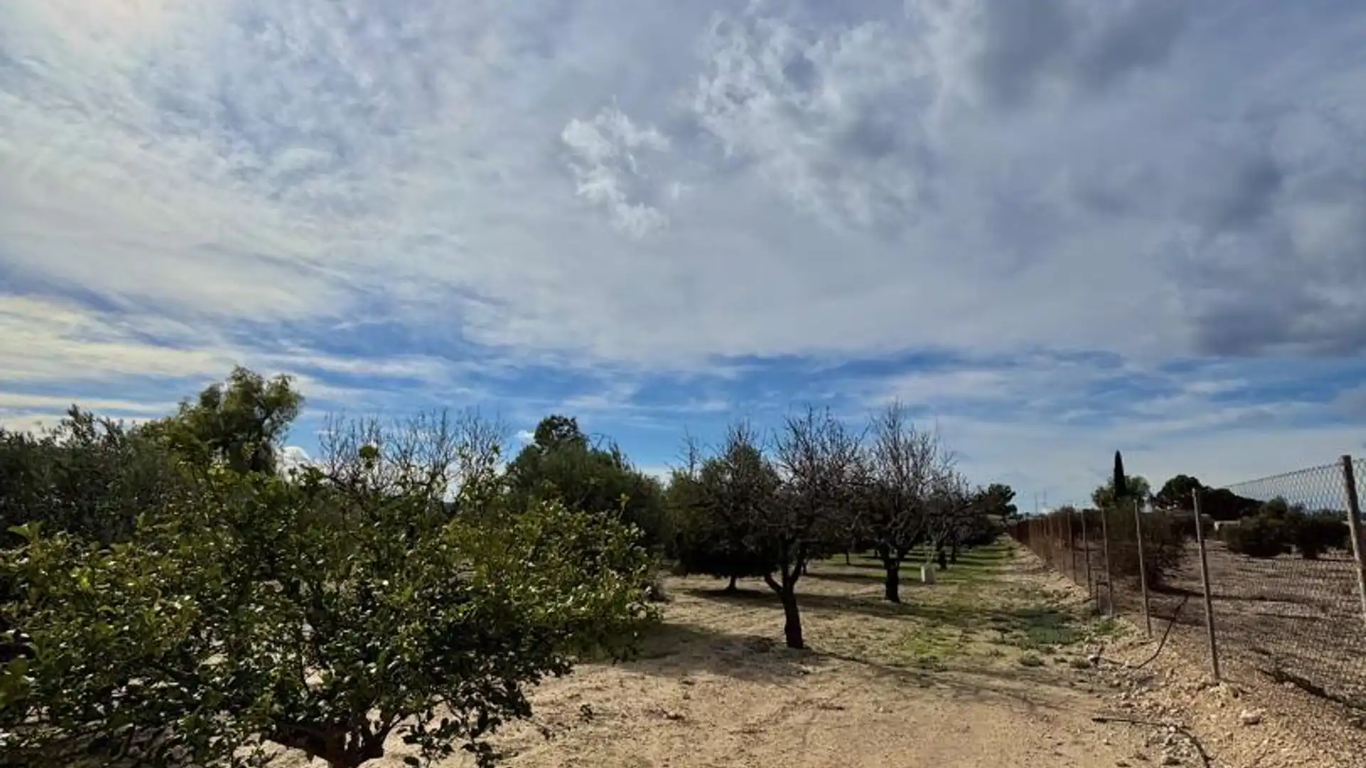 Finca rústica en  Calle Fc Ladrillo 11 - Foto 16