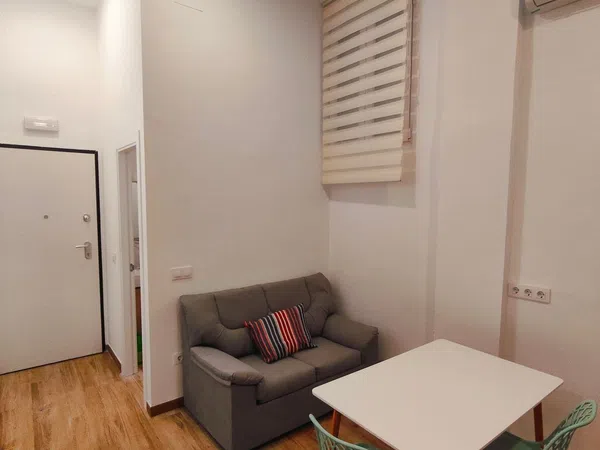 Estudio en calle Enrique Granados, 10 - Foto 17