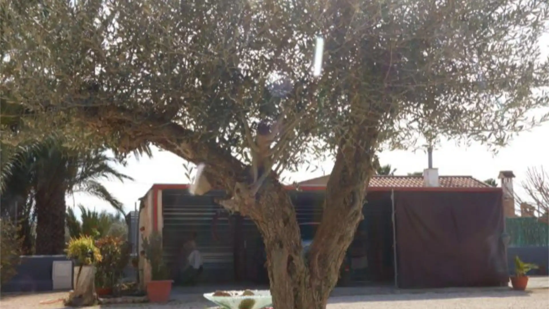 Chalet en  Partida Daimes 216 - Foto 96